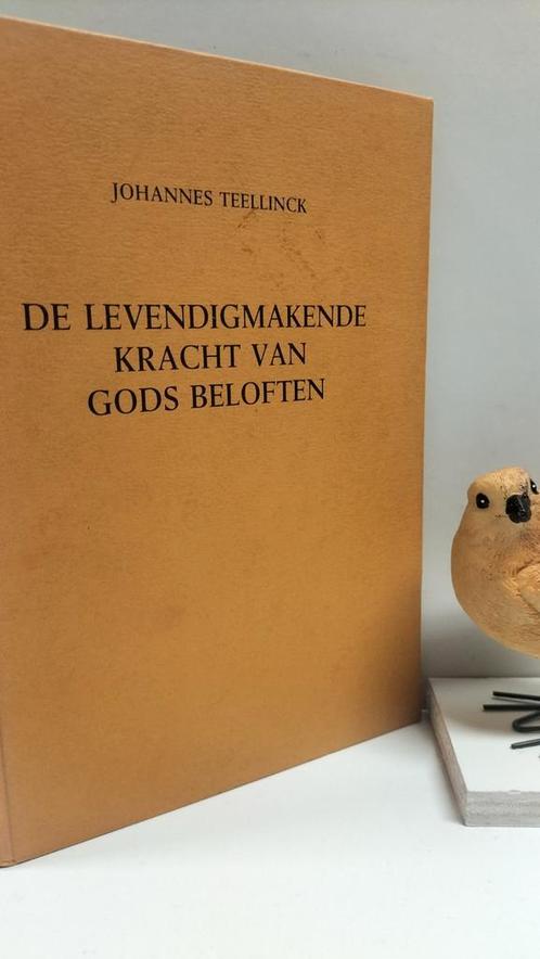 Teellinck, Joh.;  De levendigmakende kracht van Gods belofte, Boeken, Godsdienst en Theologie, Gelezen, Christendom | Protestants