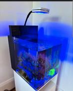 (GEZOCHT) Zeeaquarium opstarter, Dieren en Toebehoren, Ophalen of Verzenden, Zo goed als nieuw
