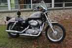 Harley-Davidson Sportster XL 883 sportster 883 low, Motoren, 2 cilinders, Chopper, Bedrijf, 883 cc