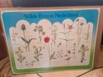 Wilde flora in Nederland, Antiek en Kunst, Ophalen of Verzenden