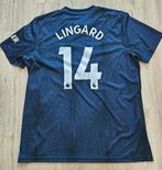 Manchester United voetbalshirt Lingard, Ophalen of Verzenden, Zo goed als nieuw, Buitenlandse clubs, Shirt
