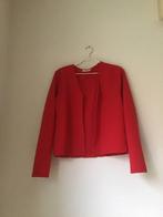 My Holly’s Bolero c.q. Vest rood maat XXL, My Holly’s, Maat 46/48 (XL) of groter, Ophalen of Verzenden, Zo goed als nieuw