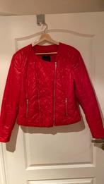 Amisu, Rood Jasje maat 42, Ophalen of Verzenden, Zo goed als nieuw, Maat 42/44 (L), Rood