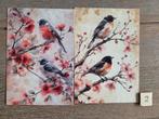 OPRUIMING   VOGELS B 2, Verzamelen, Ansichtkaarten | Dieren, Ophalen, 1980 tot heden, Vogel