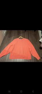 Vanilia, Kleding | Dames, Ophalen of Verzenden, Zo goed als nieuw, Roze