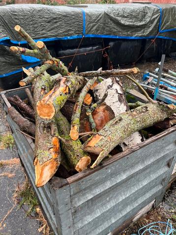 3 kuub haardhout (diverse stammetjes) beschikbaar voor biedingen