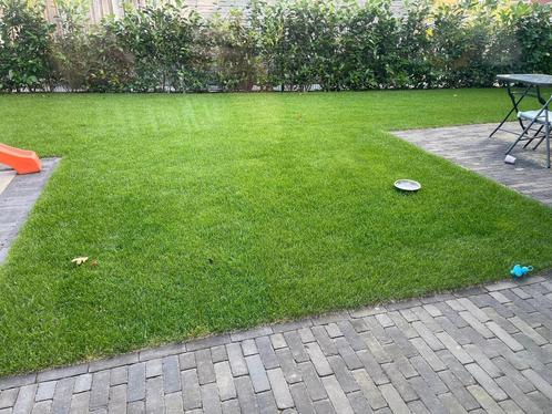 Graszoden , grasmatten , gras, Tuin en Terras, Gras en Kunstgras, Nieuw, Gras, 20 m² of meer, Ophalen