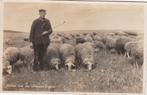 Elspeet - Willem met zijn Schaapjes, Verzenden, 1940 tot 1960, Ongelopen, Gelderland