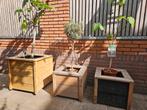 Showroom modellen plantenbakken 50% korting, Tuin en Terras, Bloembakken en Plantenbakken, Hg, Hg, Gh, Ophalen of Verzenden