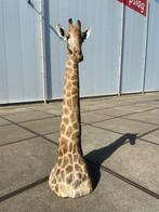 opgezette giraffe 265cm hoog!! Met CITES, Verzamelen, Ophalen of Verzenden, Nieuw, Wild dier, Opgezet dier