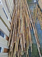 Bamboe stoken, Tuin en Terras, Palen, Balken en Planken, Ophalen of Verzenden, Nieuw