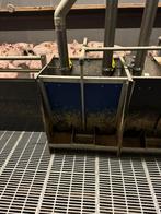 Drowaka biggen bakken [420], Dieren en Toebehoren, Boekhorst Trading, Info@boekhorsttrading.com, Singel 16, Horssen