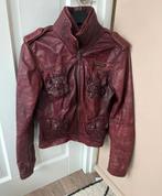 Mooie lerenjas in bordeaux rood. Merk: Superdry, Ophalen of Verzenden, Zo goed als nieuw, Maat 38/40 (M), Rood