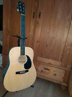 Richwood akoestische gitaar, Ophalen, Gebruikt