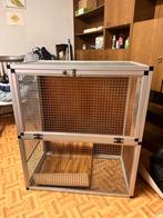 katten kitten kooi, Poes