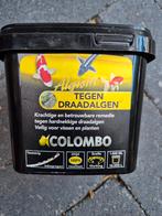 Colombo  draadalg en gh plus, Karper of Koi
