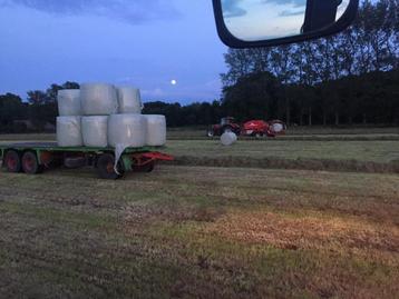 Gras op stam of grasland gezocht regio Helvoirt en omstreken beschikbaar voor biedingen