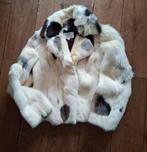 bont jas, Ophalen of Verzenden, Gedragen, Maat 38/40 (M)