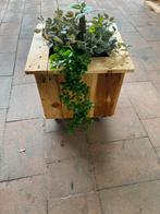 Plantbak ( eventueel op maat gemaakt ), Ophalen of Verzenden, Nieuw, Hout, Minder dan 30 cm