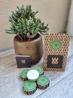 WOO Waxinelichtjes - Lime Geur, Overige materialen, Nieuw, Ophalen of Verzenden, Kaars