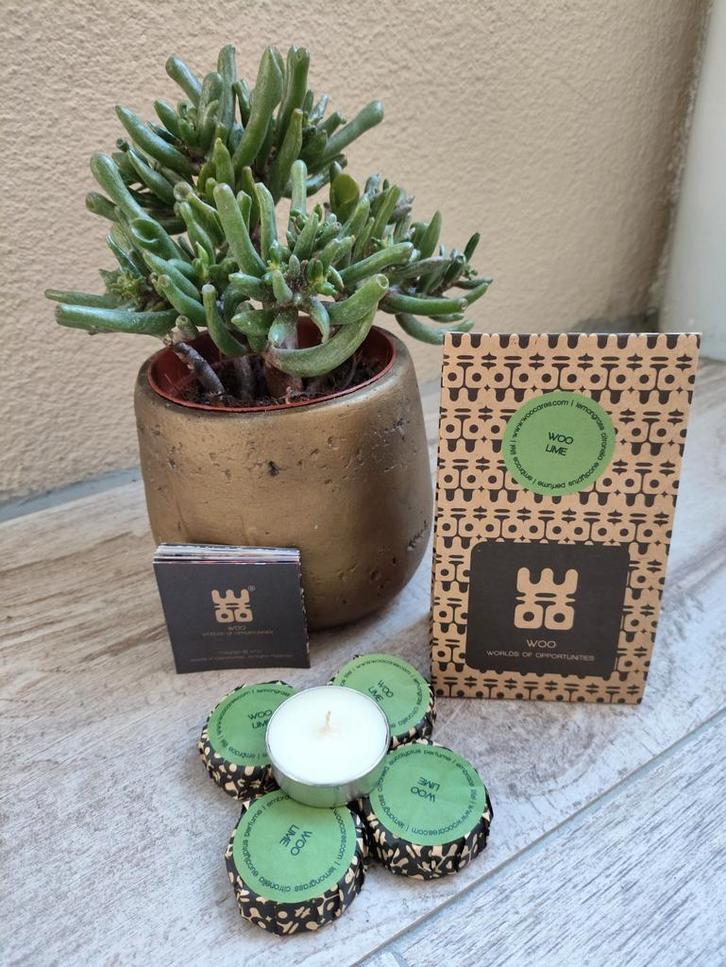 WOO Waxinelichtjes - Lime Geur, Huis en Inrichting, Woonaccessoires | Kandelaars en Kaarsen, Nieuw, Kaars, Minder dan 25 cm, Overige materialen