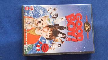 Good Boy! beschikbaar voor biedingen