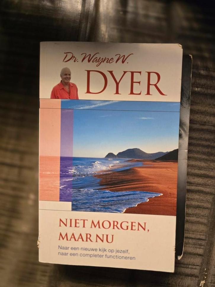 Niet Morgen, Maar Nu - Wayne Dyer, Boeken, Esoterie en Spiritualiteit, Zo goed als nieuw, Achtergrond en Informatie, Spiritualiteit algemeen