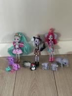 Enchantimals Poppen Set, Ophalen of Verzenden, Zo goed als nieuw, Overige typen