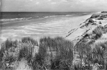 (380-102-005) Texel Zee en Duin beschikbaar voor biedingen