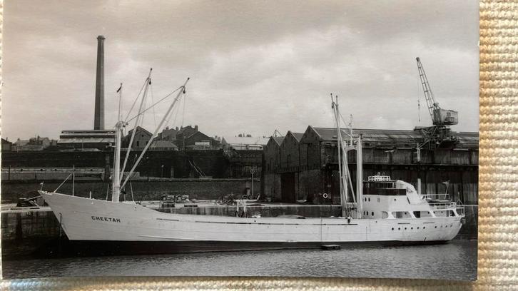 CHEETAH  1960  J. Cremer in Britse haven, Verzamelen, Scheepvaart, Ophalen of Verzenden