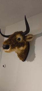 Hooglander, Ophalen, Zo goed als nieuw