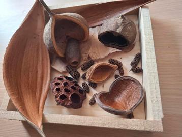 Amazone pakket beschikbaar voor biedingen