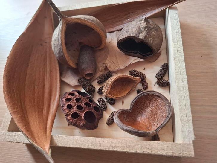 Amazone pakket, Dieren en Toebehoren, Reptielen en Amfibieën | Toebehoren, Nieuw, Broedstoof of Broedmachine, Ophalen of Verzenden