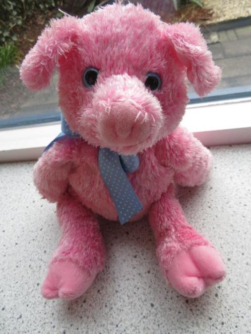 Varken met blauwe kunststof ogen merk TY uit 2006, Kinderen en Baby's, Speelgoed | Knuffels en Pluche, Zo goed als nieuw, Overige typen
