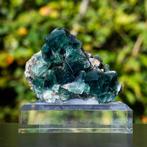 Fluoriet uit Pocket 42 #20, Ophalen of Verzenden, Mineraal