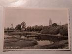 Tholen, Bos en water, fotokaart, Verzamelen, Ansichtkaarten | Nederland, Ophalen of Verzenden