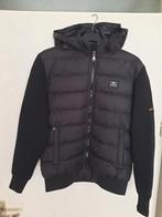 PAUL &SHARK  - L, Kleding | Heren, Maat 52/54 (L), Overige kleuren, Verzenden, Zo goed als nieuw