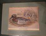 Schilderij, Antiek en Kunst, Ophalen of Verzenden