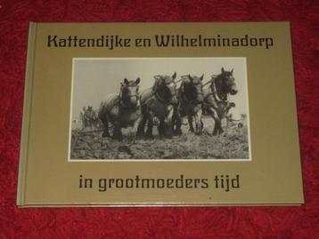Kattendijke en Wilhelminadorp in grootmoeders tijd. beschikbaar voor biedingen