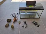 60 cm Juwel aquarium met toebehoren, Dieren en Toebehoren, Vissen | Aquaria en Toebehoren, Ophalen, Zo goed als nieuw, Leeg aquarium