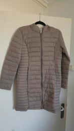 Primark dames jas, Primark, Beige, Ophalen of Verzenden, Zo goed als nieuw
