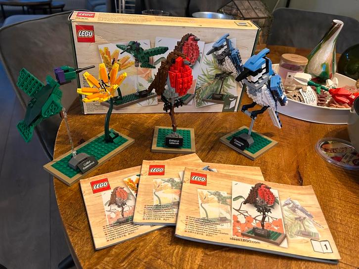 Lego ideas birds 21301, Kinderen en Baby's, Speelgoed | Duplo en Lego, Zo goed als nieuw, Lego, Complete set, Ophalen of Verzenden