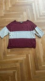 Sylver prachtig linnen truitje creme beige met bordo 42, Kleding | Dames, Sylver, Beige, Maat 42/44 (L), Ophalen of Verzenden