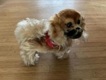 Steiff Hond Pekinees Peky, 14 cm, Art.nr. 4120/14 beschikbaar voor biedingen