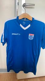 PEC Zwolle trainingshirt maat M, Sport en Fitness, Verzenden, Zo goed als nieuw, Shirt
