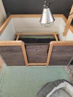 Werpkist voor kleine/middelgrote hond te huur, Dieren en Toebehoren, Ophalen, 110 cm of meer, Minder dan 65 cm