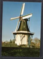 molen; Korenmolen Wilhelmina te Noorderhoogebrug., Verzamelen, Ansichtkaarten | Nederland, Verzenden, Ongelopen, Groningen
