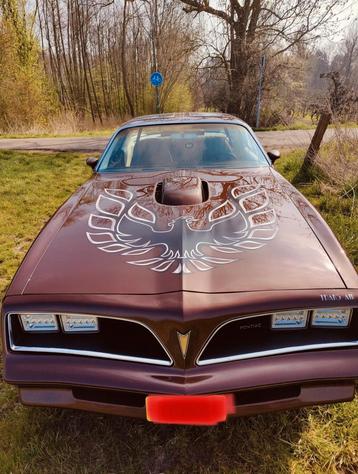 Firebird hoodbird vinyl decal/sticker voor motorkap beschikbaar voor biedingen