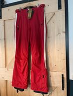 Esprit gold skibroek nieuw maat 42, Ophalen of Verzenden, Nieuw, Maat 42/44 (L), Broek