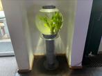 BIORB 60  MET STANDAARD, Dieren en Toebehoren, Vissen | Aquaria en Toebehoren, Ophalen of Verzenden, Zo goed als nieuw, Leeg aquarium